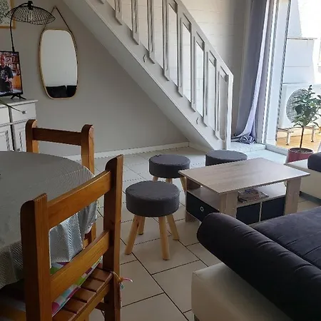 T3 Climatise Avec Parking Privatif Proche - 5psol29 * Saint-Cyprien (Pyrenees-Orientales)